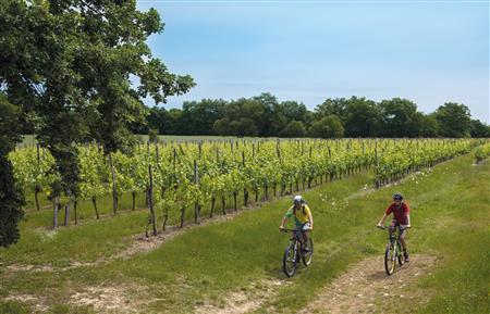 Moncaup : au cœur du Madiranais en VTT 