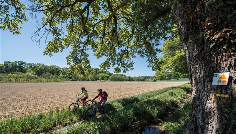 Garlin : la randonnée des Pacheras à VTT 