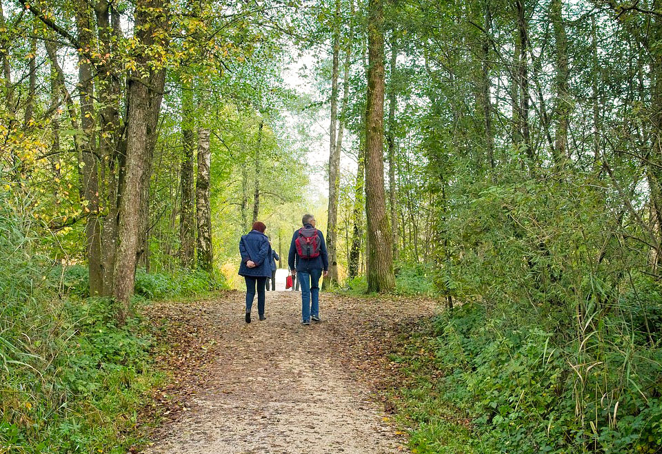 Chemins de Terre de Harrisson Barker en Forêt de Double - photo 2