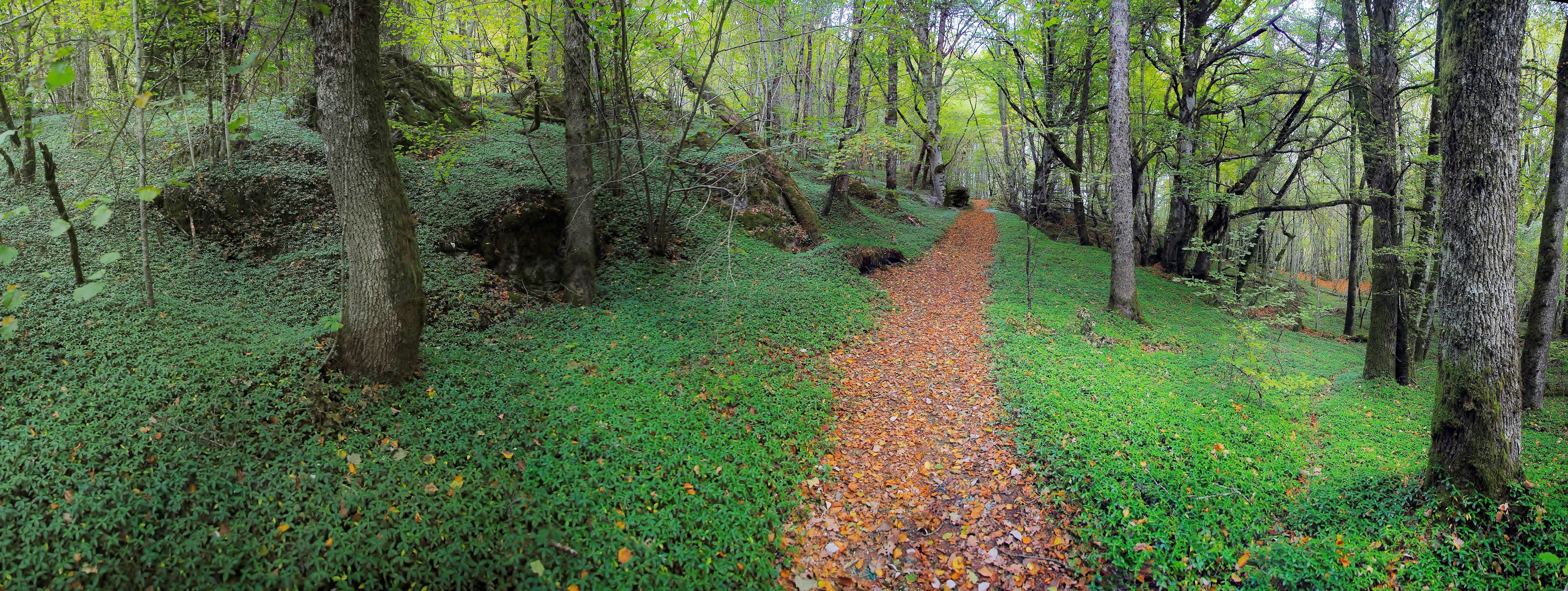 Le tour des Orgues - 5 km - photo 3