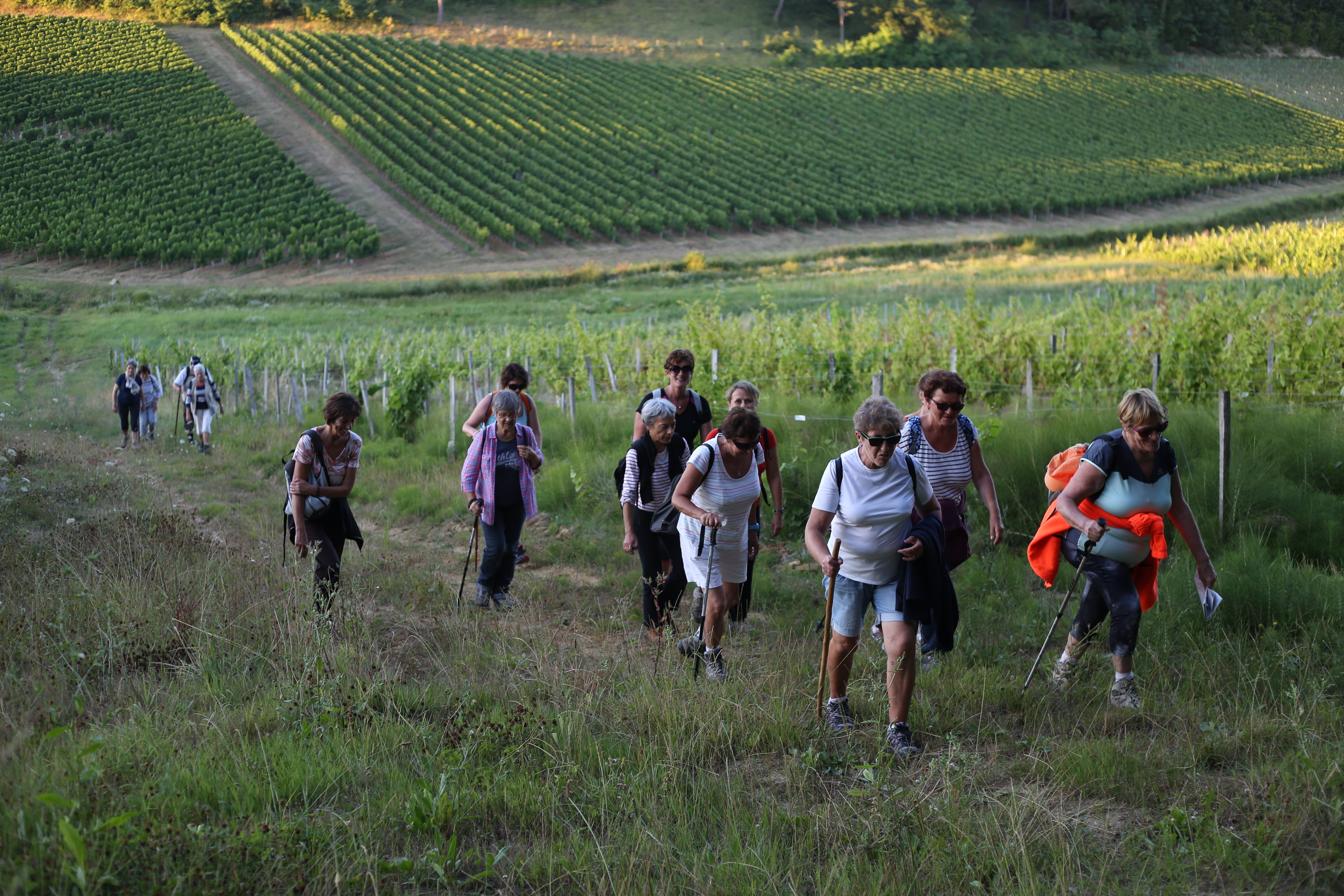 Forfait 2 jours/1 nuit "Escapade rando à Saint-André-de-Cubzac"