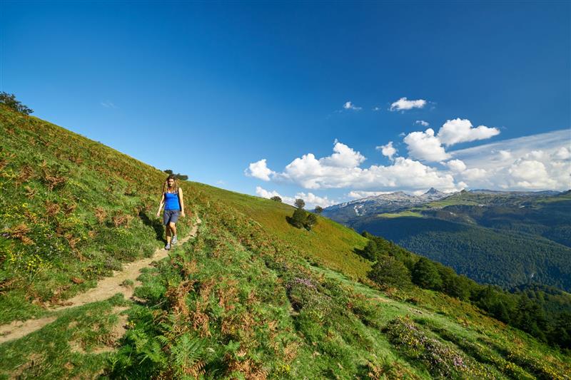 Plateau d'altitude d'Issarbe 