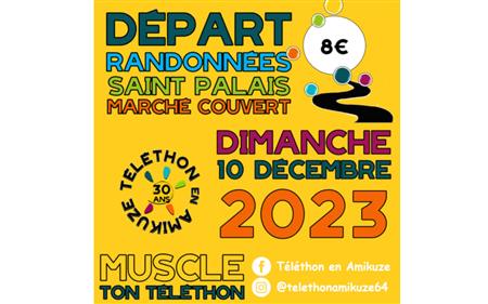 Téléthon 2023 - Randonnées pédestres, cyclistes, VTT et équestre Téléthon 2023 - Randonnées pédestres, cyclistes, VTT et équestre