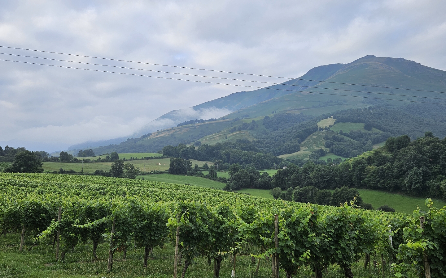 Table d'orientation Menta