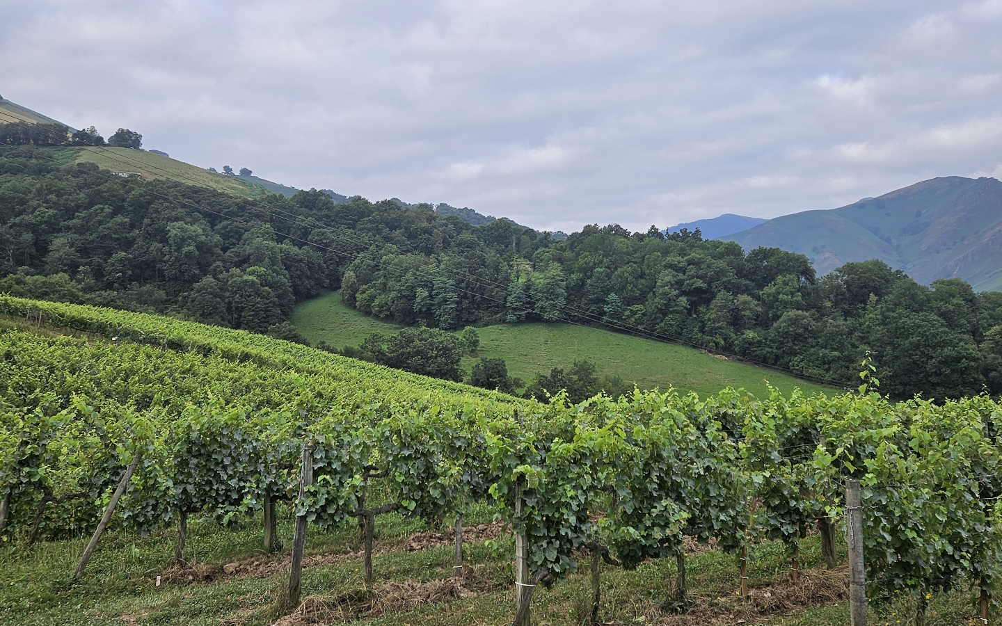 Table d'orientation Oronozia