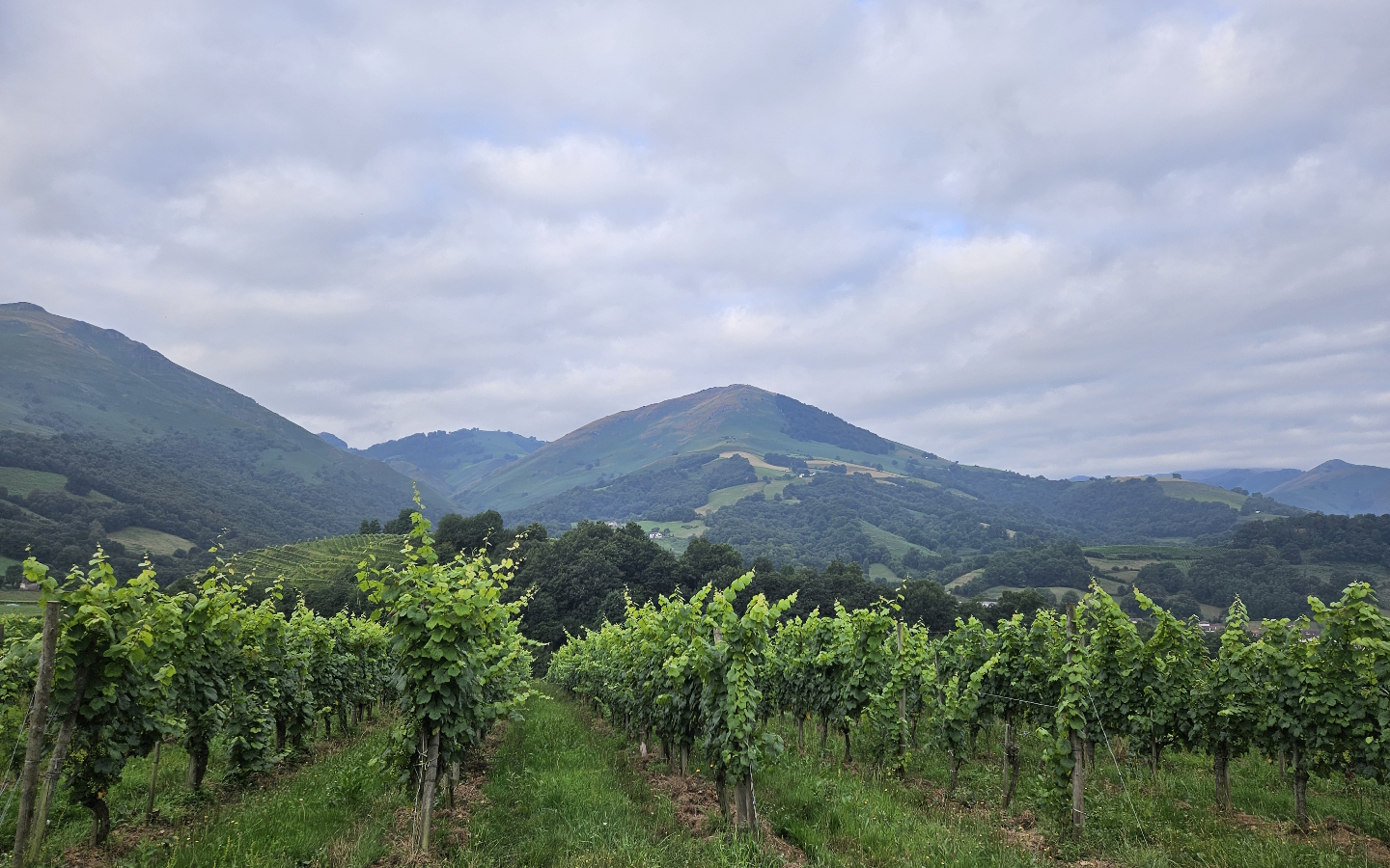 Table d'orientation Menta, Irouléguy - photo 2