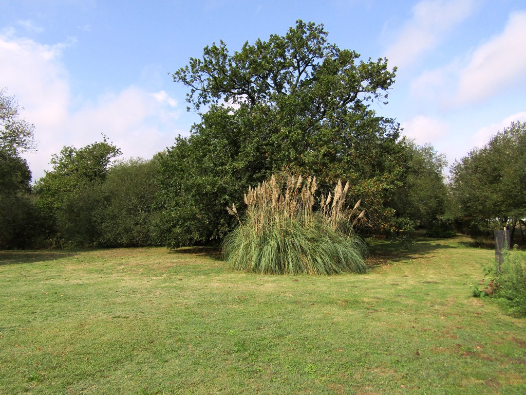 L'intemporelle, Ozourt - photo 10