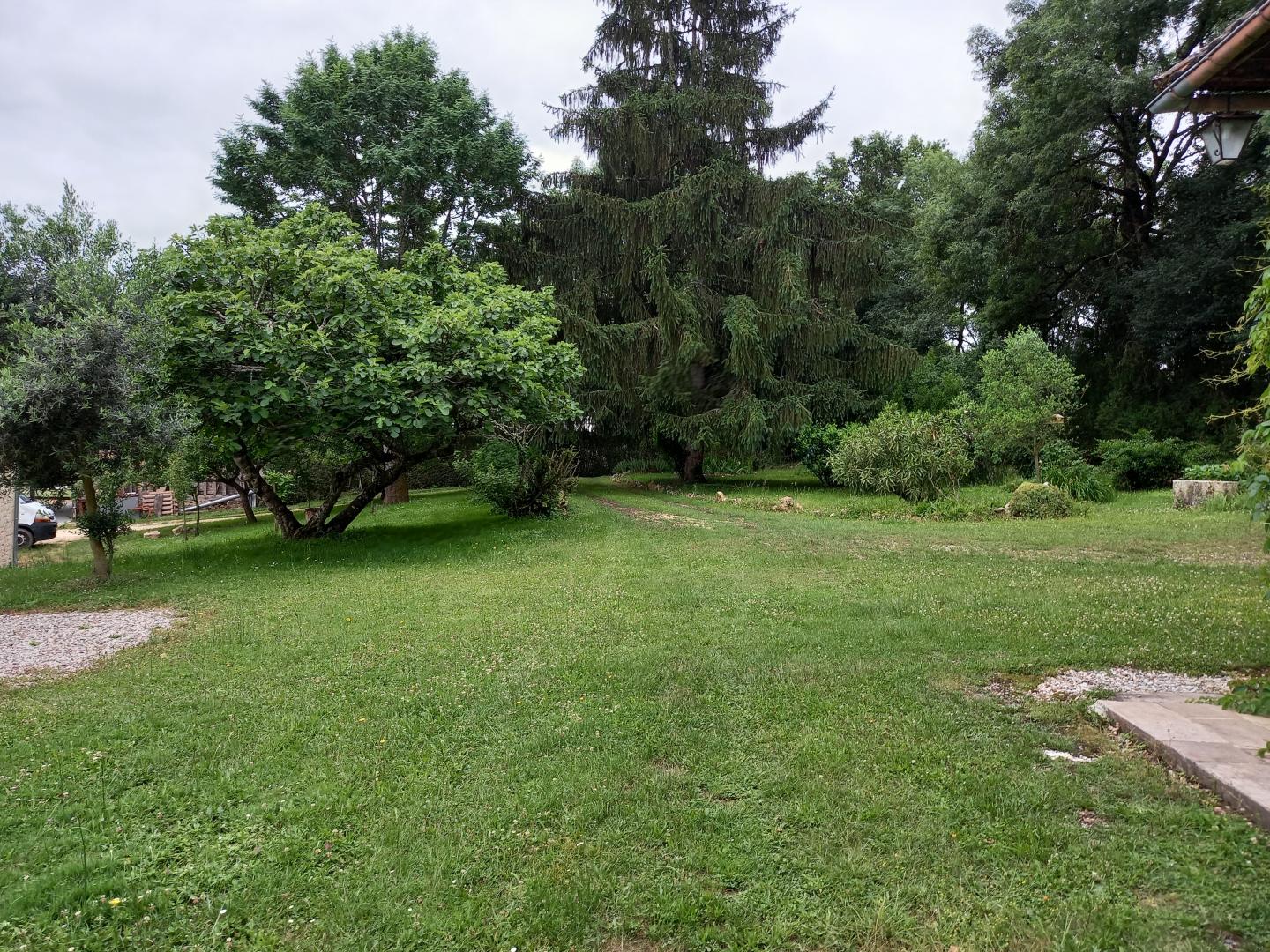 Gîte de la Forêt, Rayet - photo 17