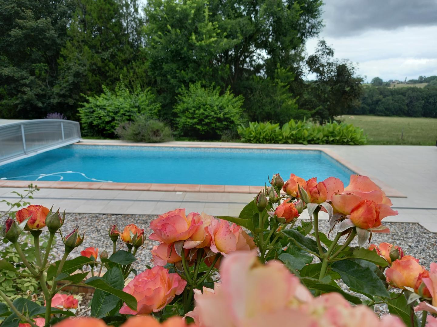 Gîte de la Forêt, Rayet - photo 7