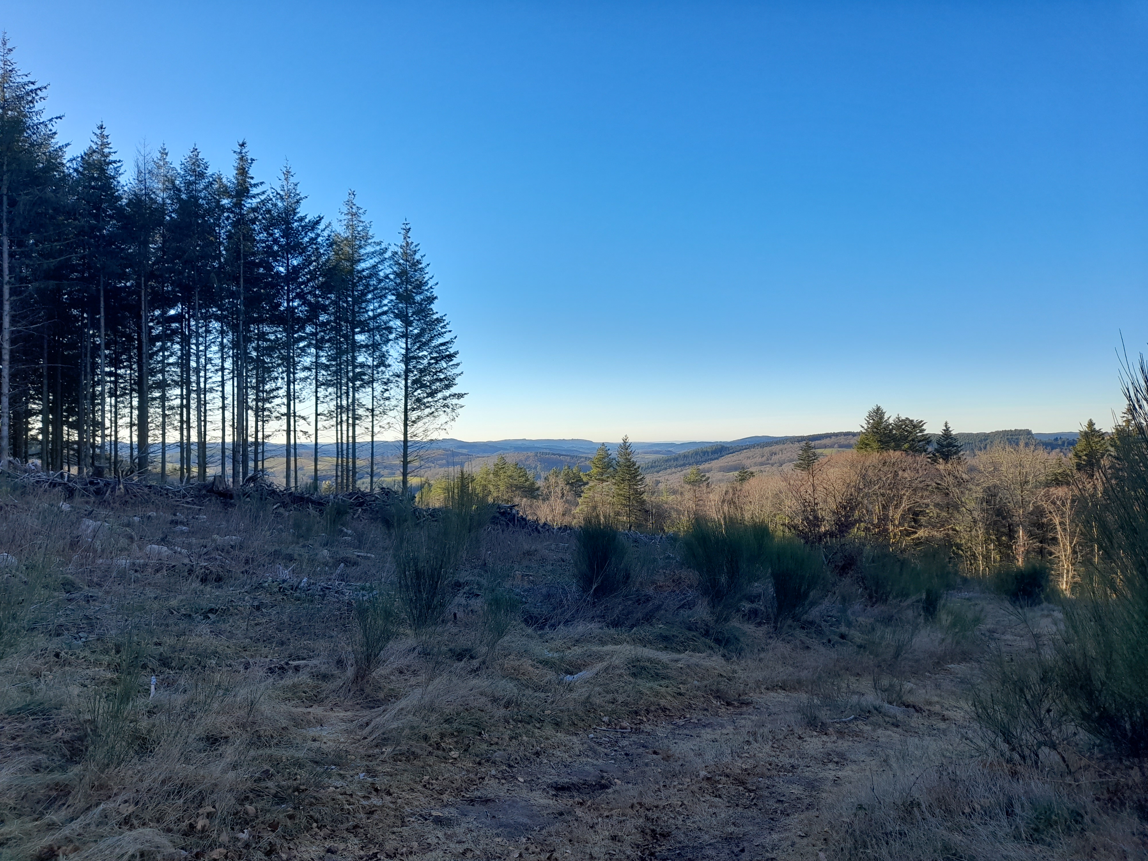 Landes et Tourbières, Tarnac - photo 2
