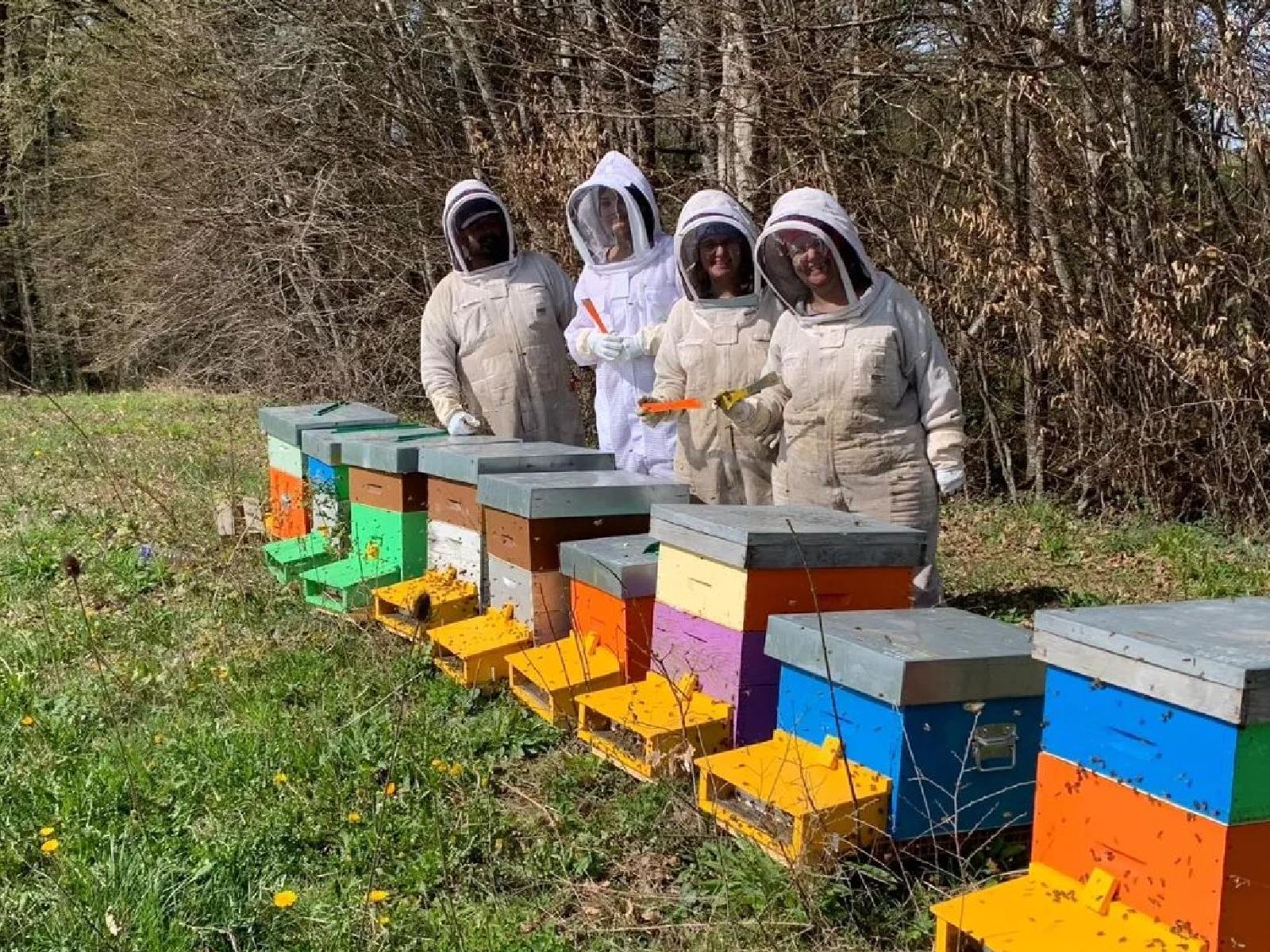 L'Atelier du miel - photo 4