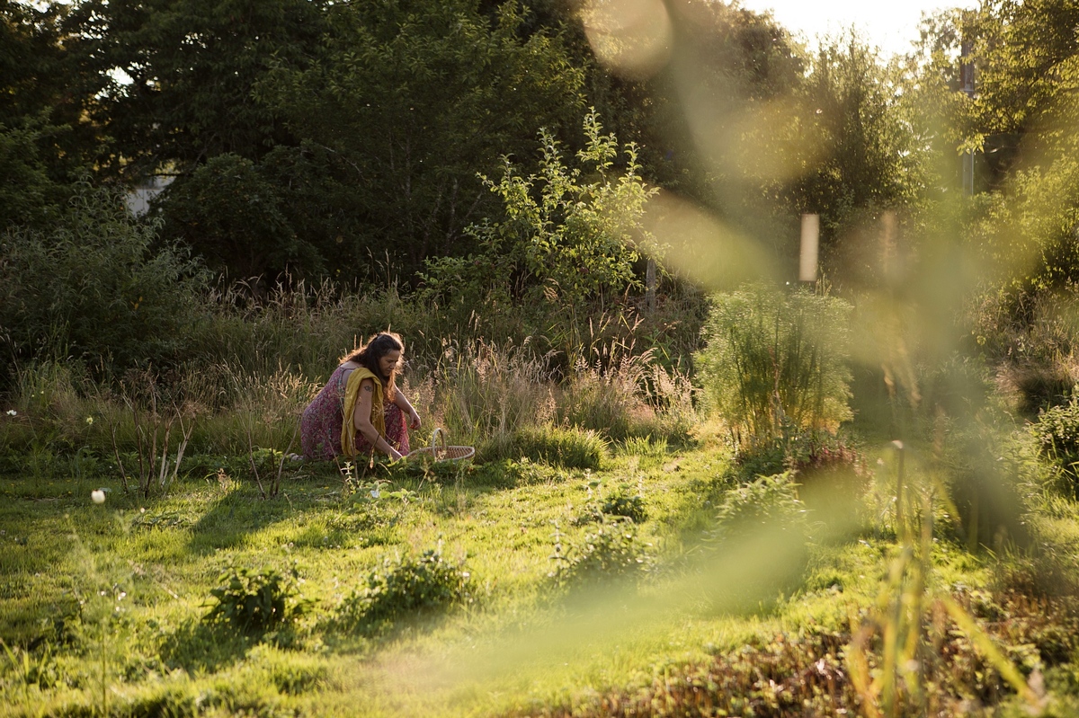 Les Simples Sauvages - photo 4