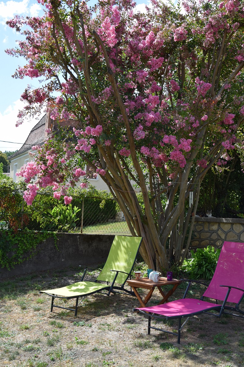 Les Mille et Une Collines, Saint-Germain-du-Salembre - photo 4