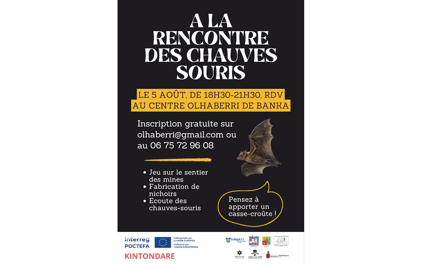 A la rencontre des chauves-souris