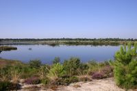 Maison de site d'Arjuzanx, Morcenx-la-Nouvelle - photo 8