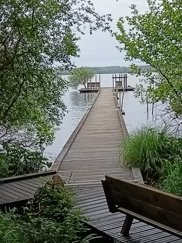 Réserve Naturelle Nationale de l'Étang de la Mazière, Villeton - photo 3
