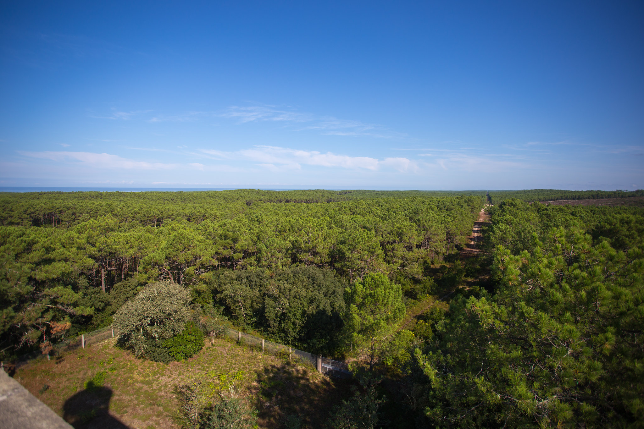 Tour de Gironde à vélo : étape 9 - Lacanau Océan / Hourtin Plage, Lacanau - photo 2