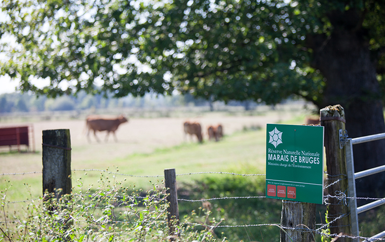 Réserve naturelle nationale des Marais de Bruges, Bruges - photo 5