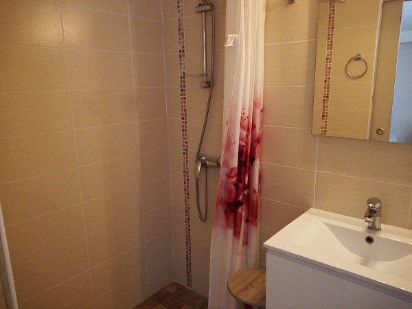 Les Glycines- Erable et Ficus - photo 4