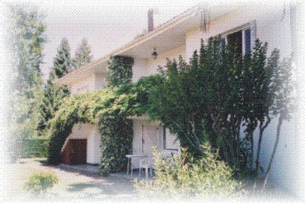 Les Glycines- Erable et Ficus - photo 5