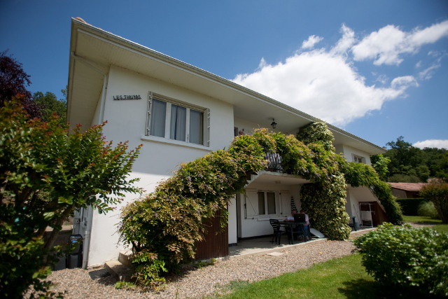 Les Glycines - Albizia et Balizier - photo 2