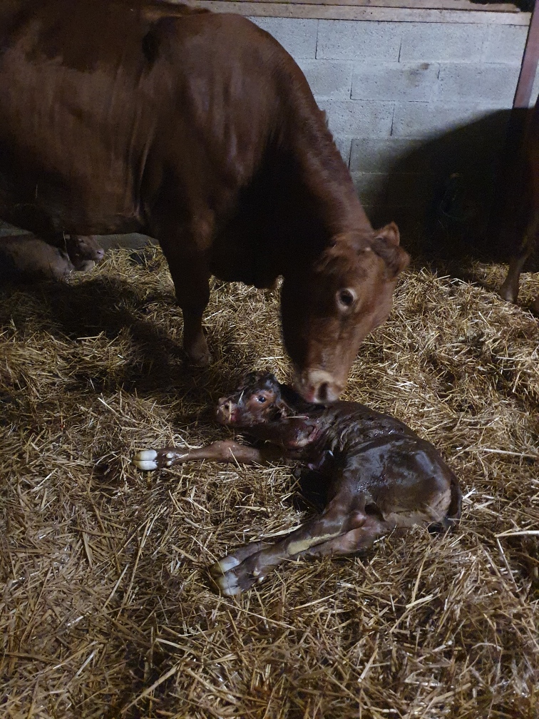 Gîte de la Marsandière, Saint-Pardoux-Soutiers - photo 2