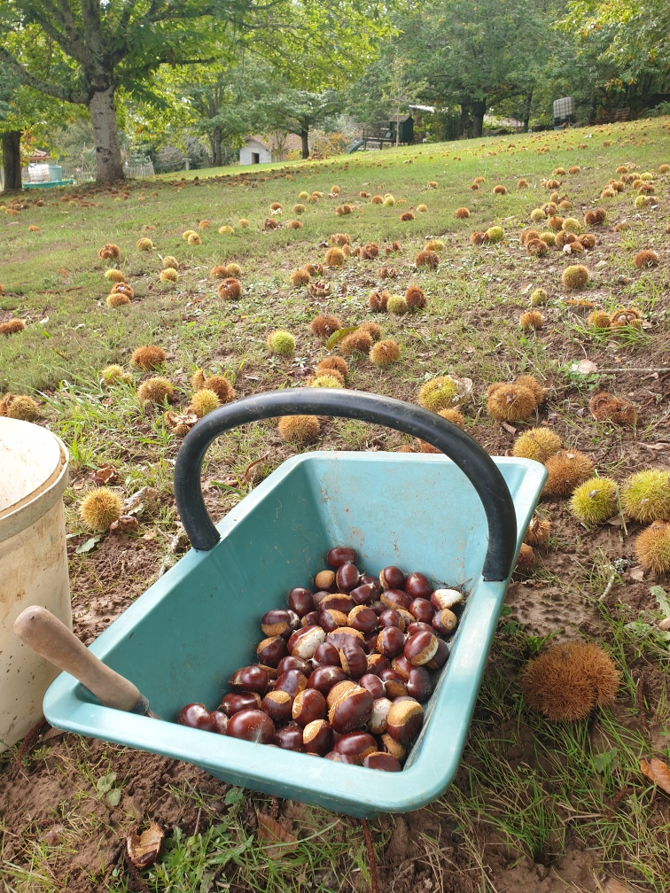 Les Confitures d'Agnès - photo 3