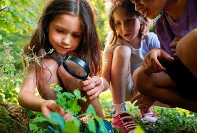 Domaine de Sédières : Devenez explorateur de la nature en forêt — visuel événement