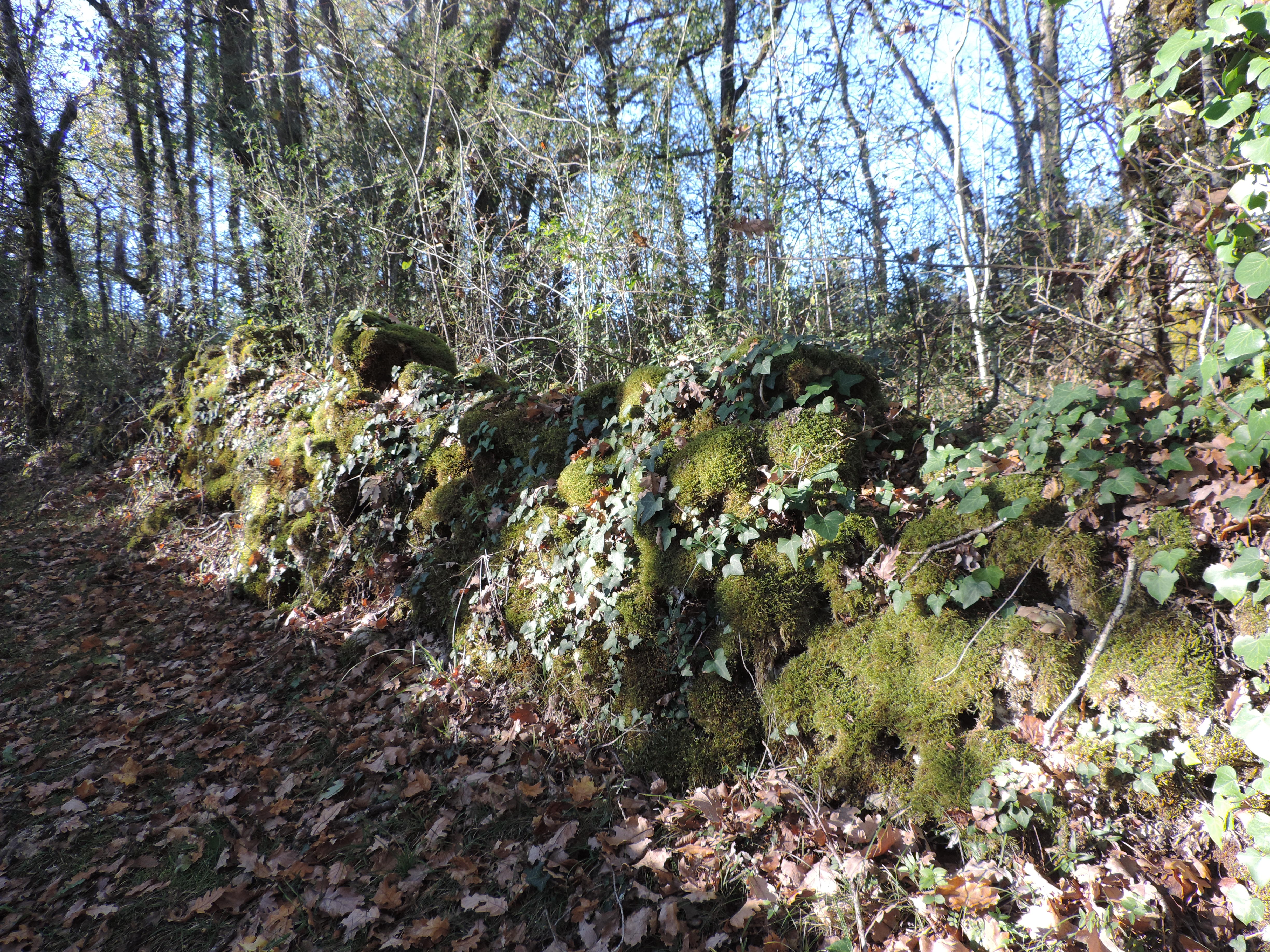Chemin de la Queyrille, Queyssac-les-Vignes - photo 2