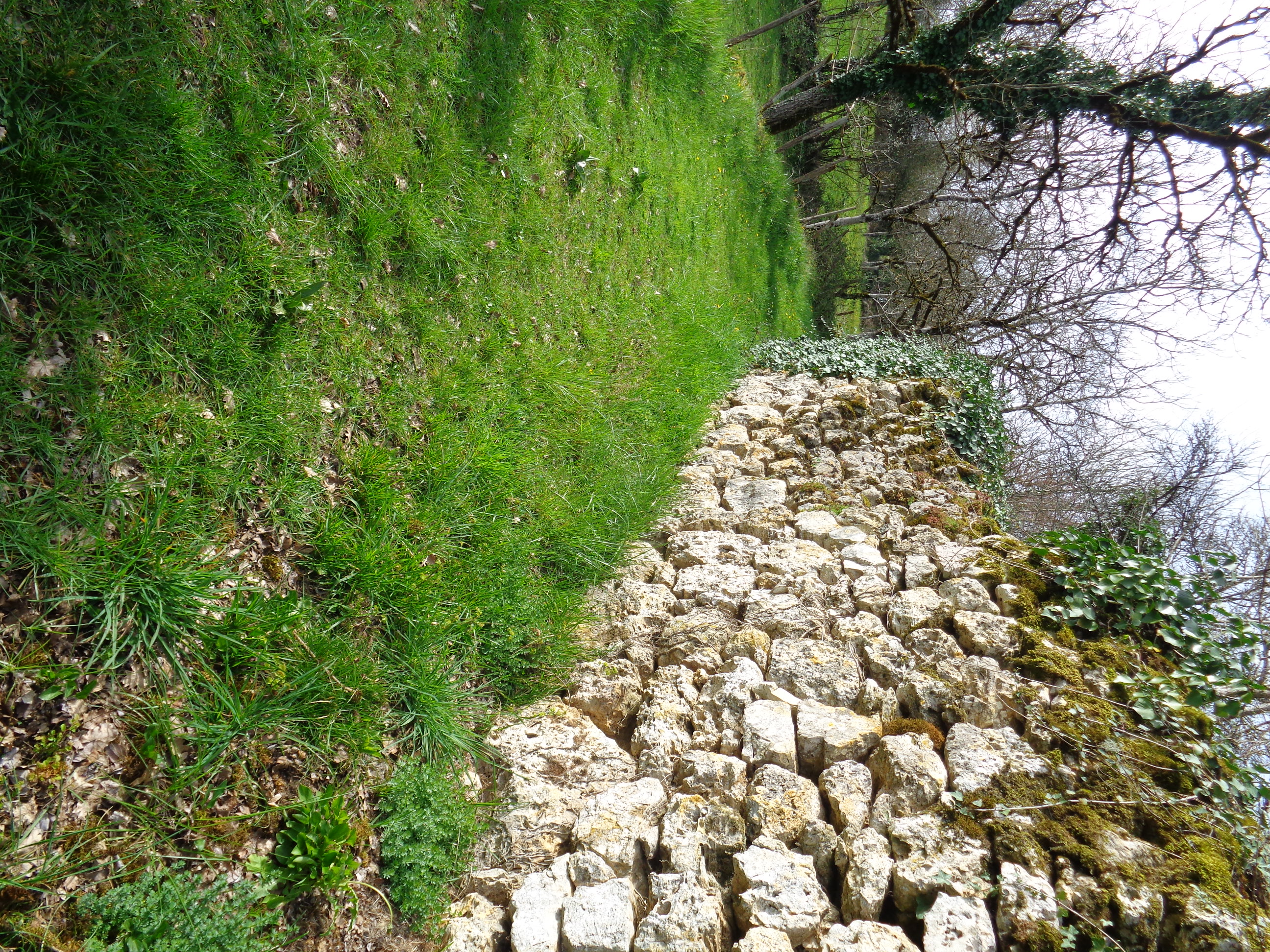 Autour du vignoble — photo 3