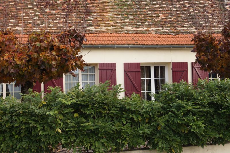 Gîte Les Glycines - photo 4