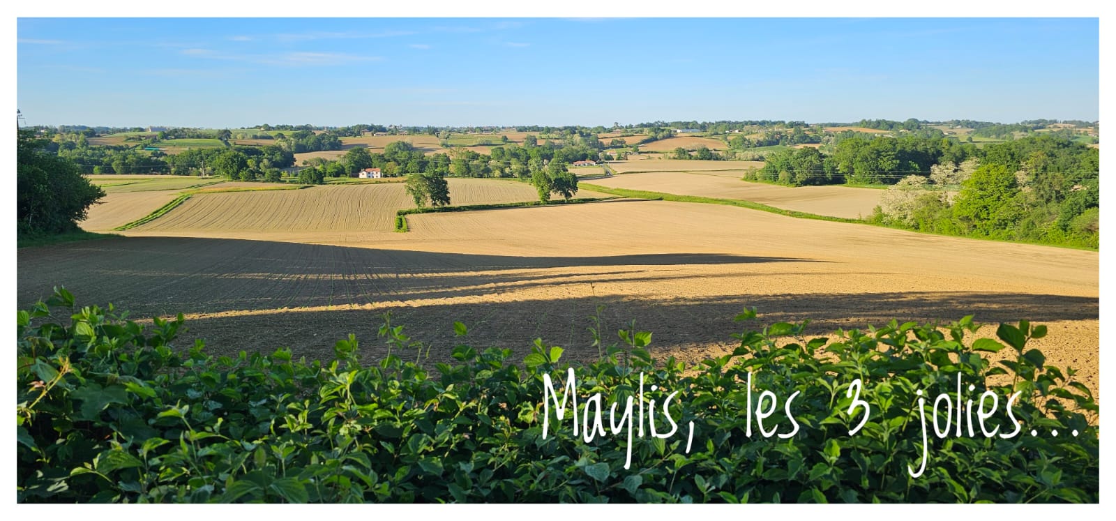 Les Trois Jolies, Maylis - photo 10