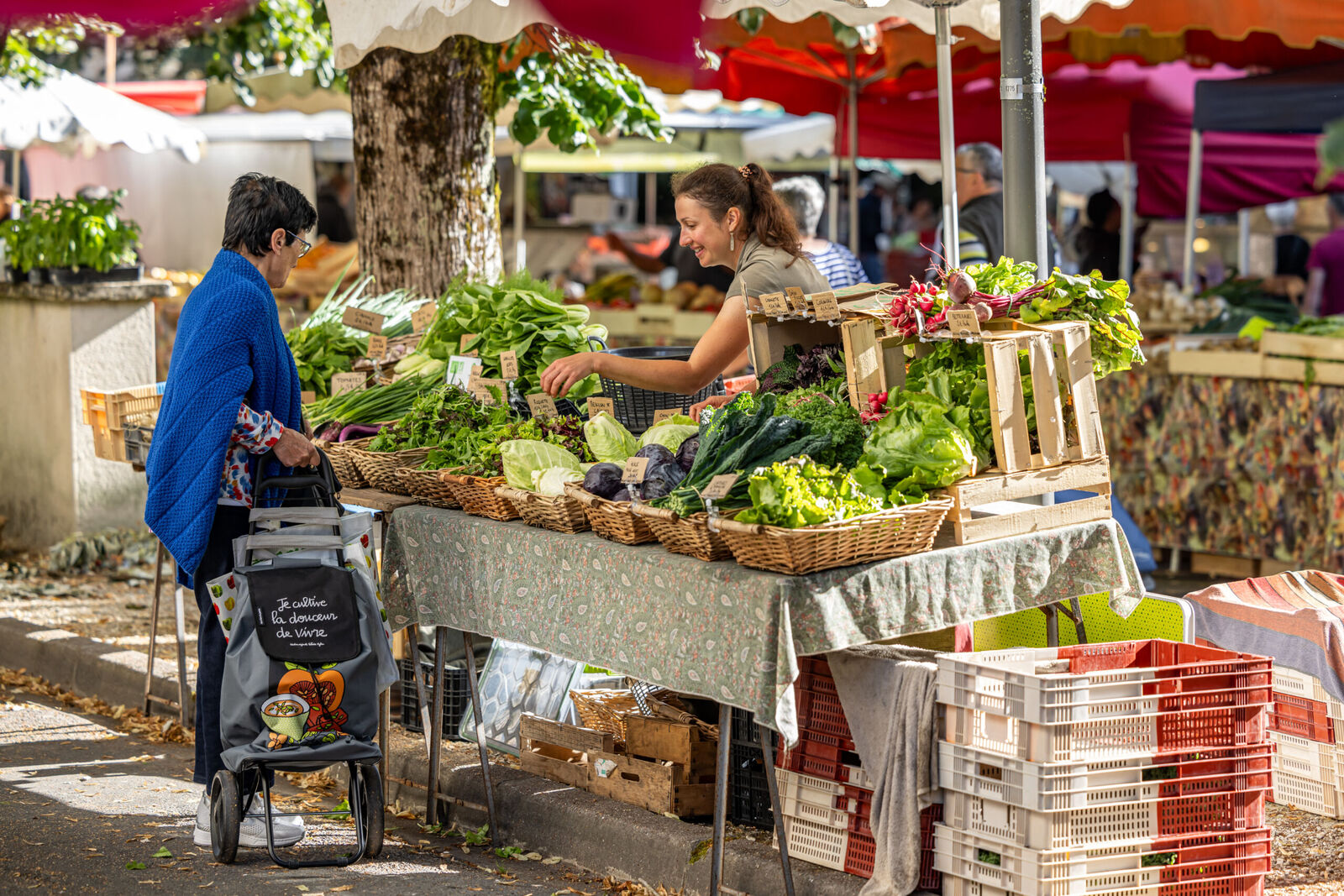 Marché du vendredi à Ribérac, Ribérac - photo 5