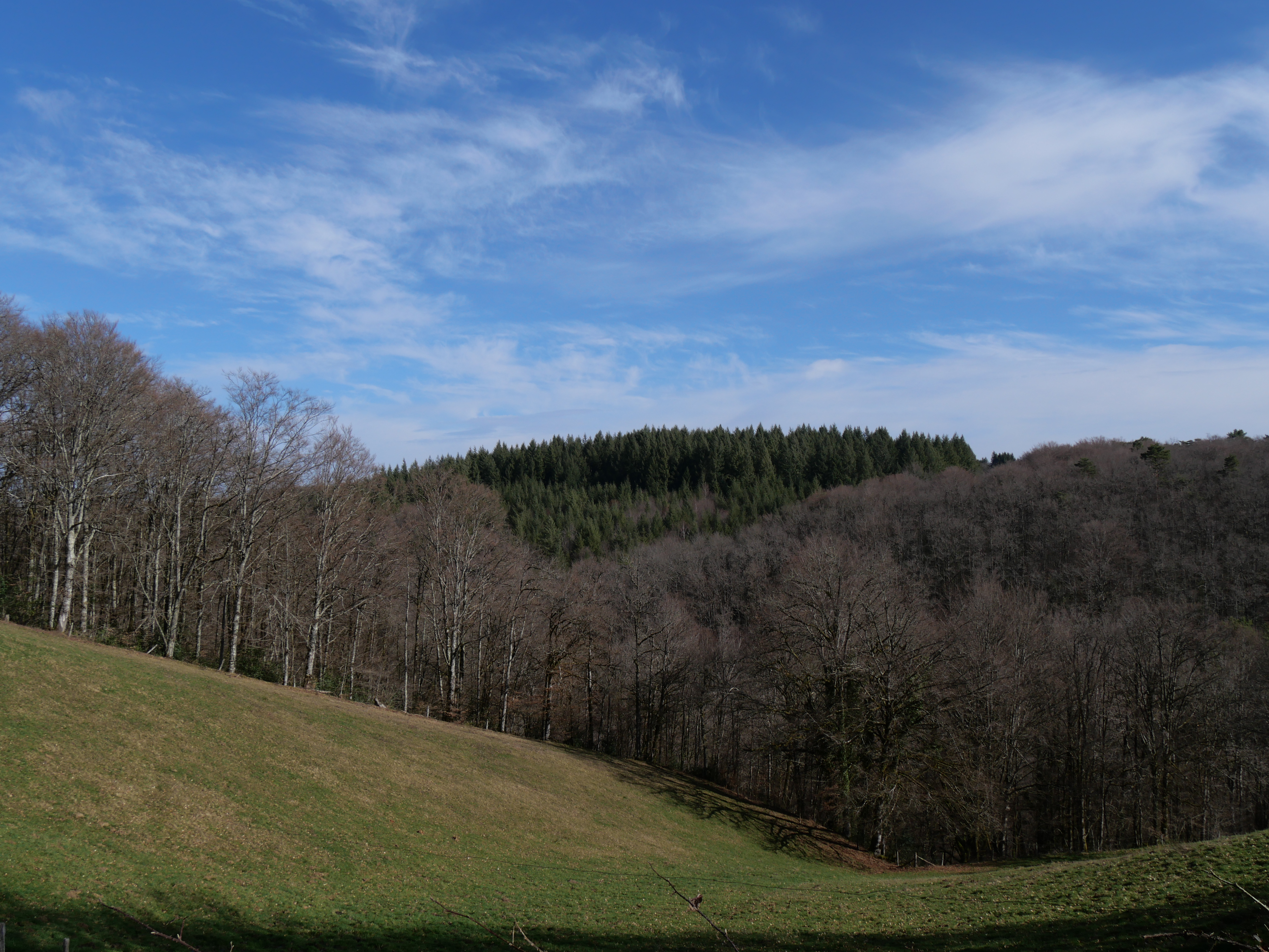 Entre Auvergne et Limousin — photo 3
