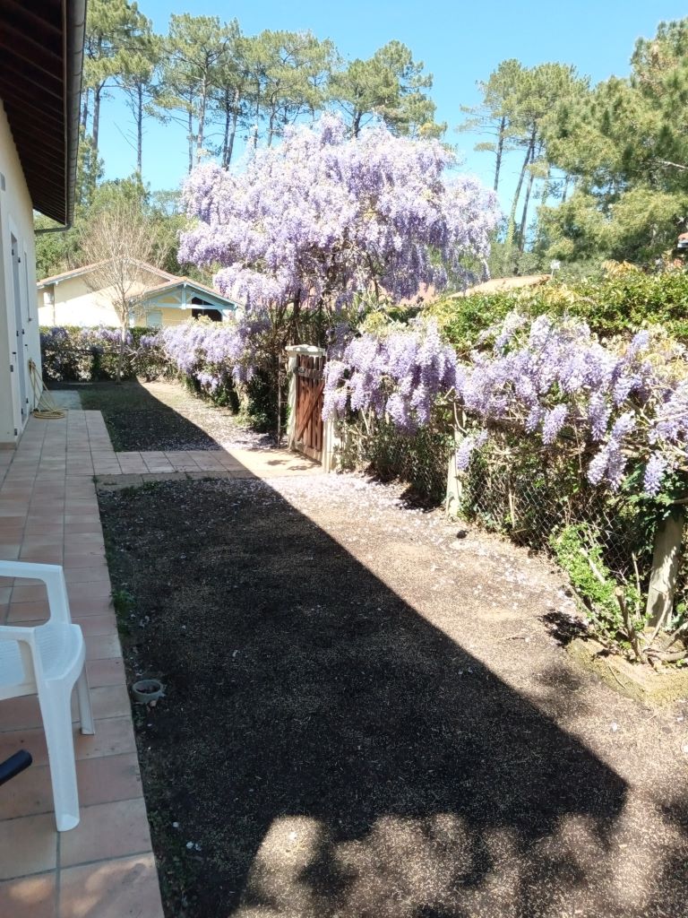 Maison Rius, Messanges - photo 5