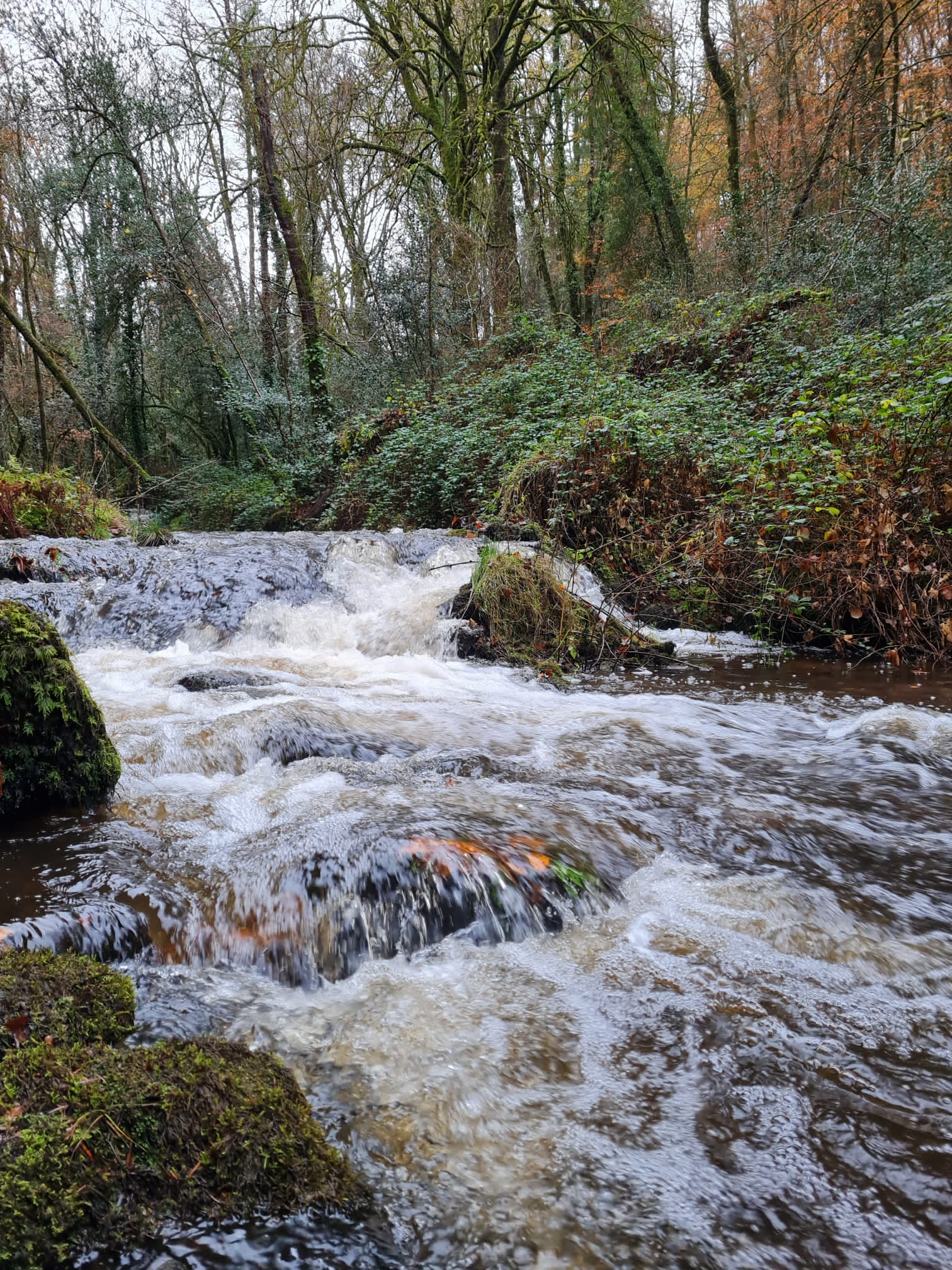 Parcours PAPSE Chamberet - photo 3