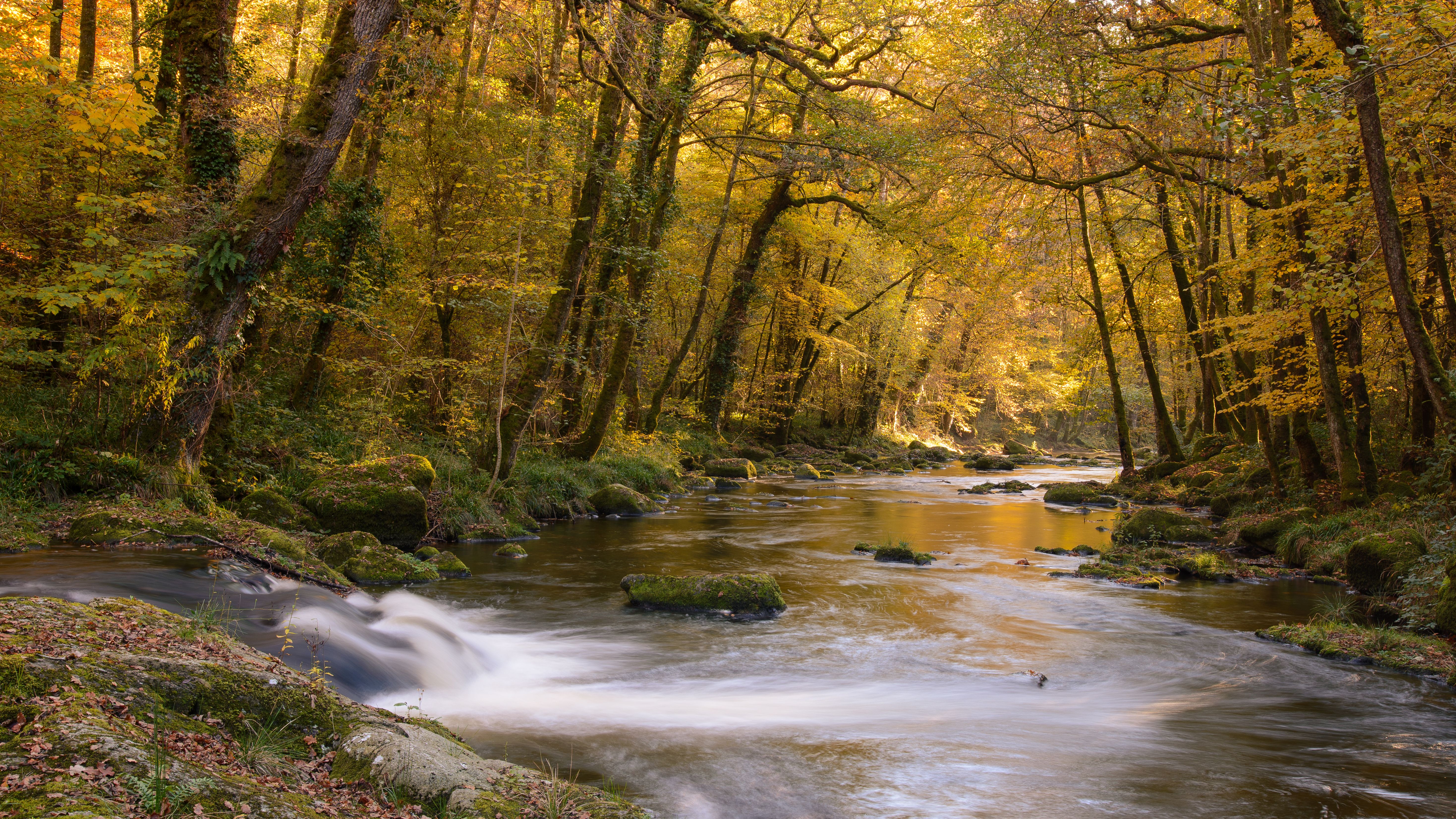 Le Puy de la Nouaille, Treignac