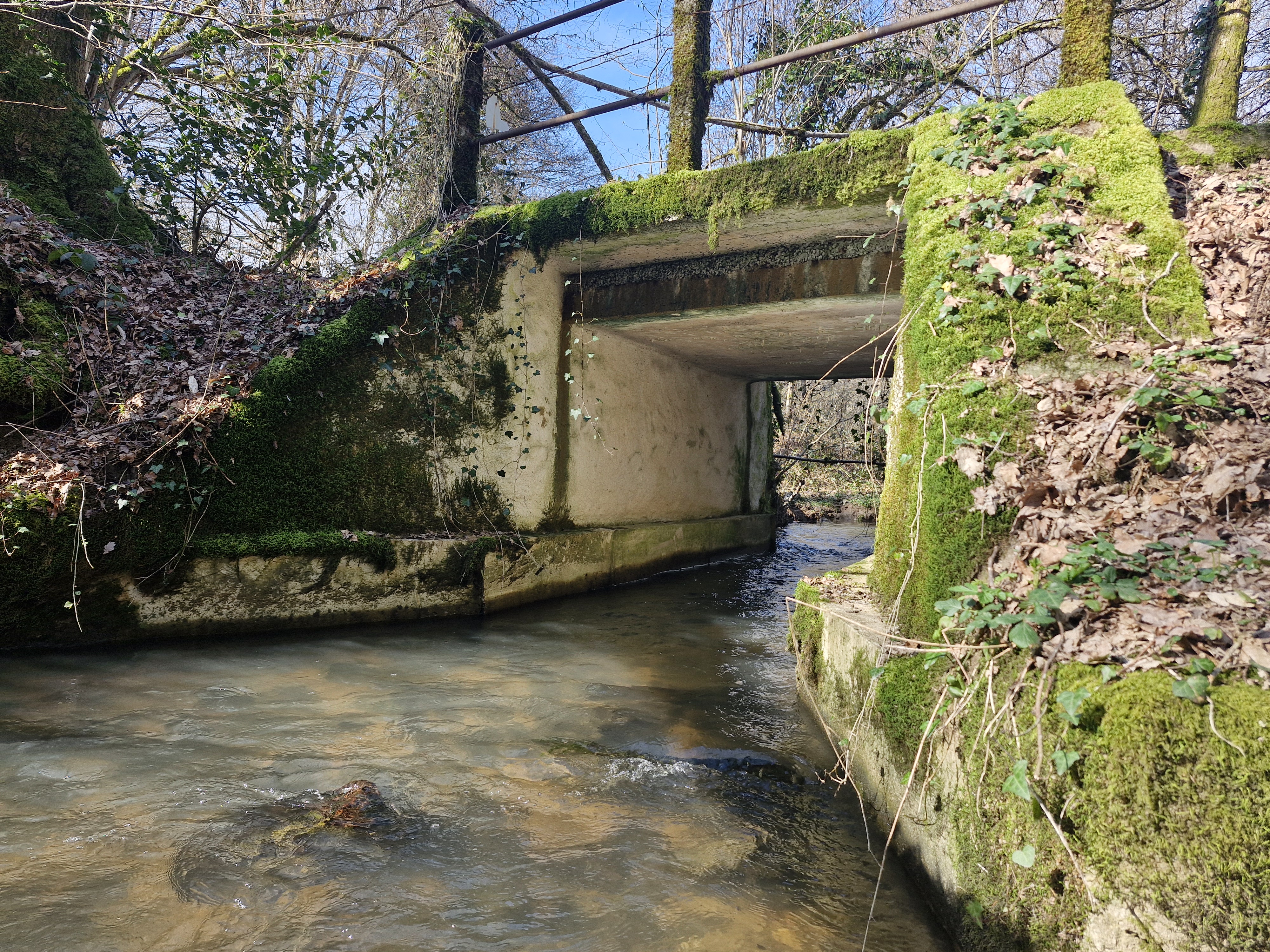 Moulin de Lignac, Beyssac - photo 4