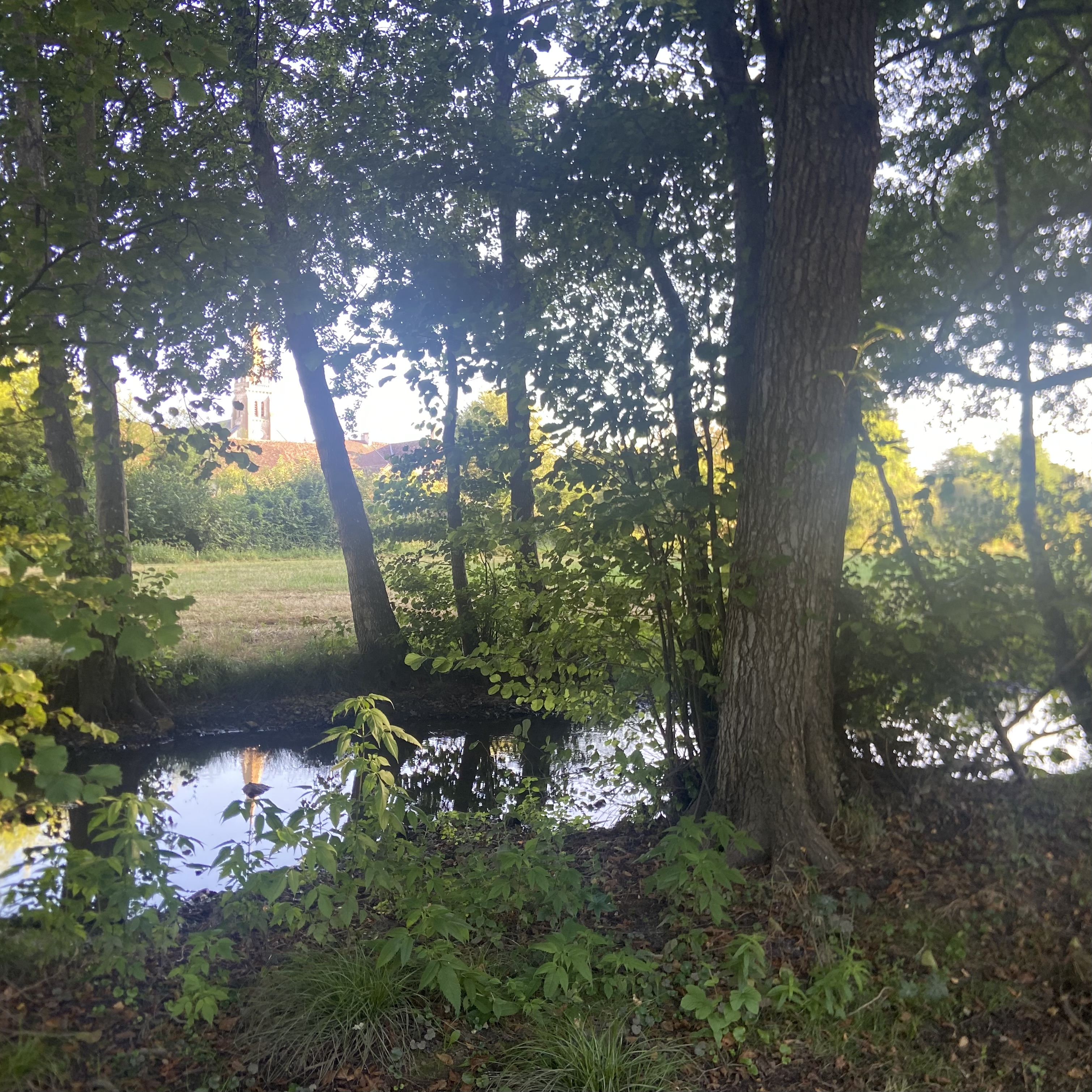 Le Gîte de la Gâtine, Journet - photo 4