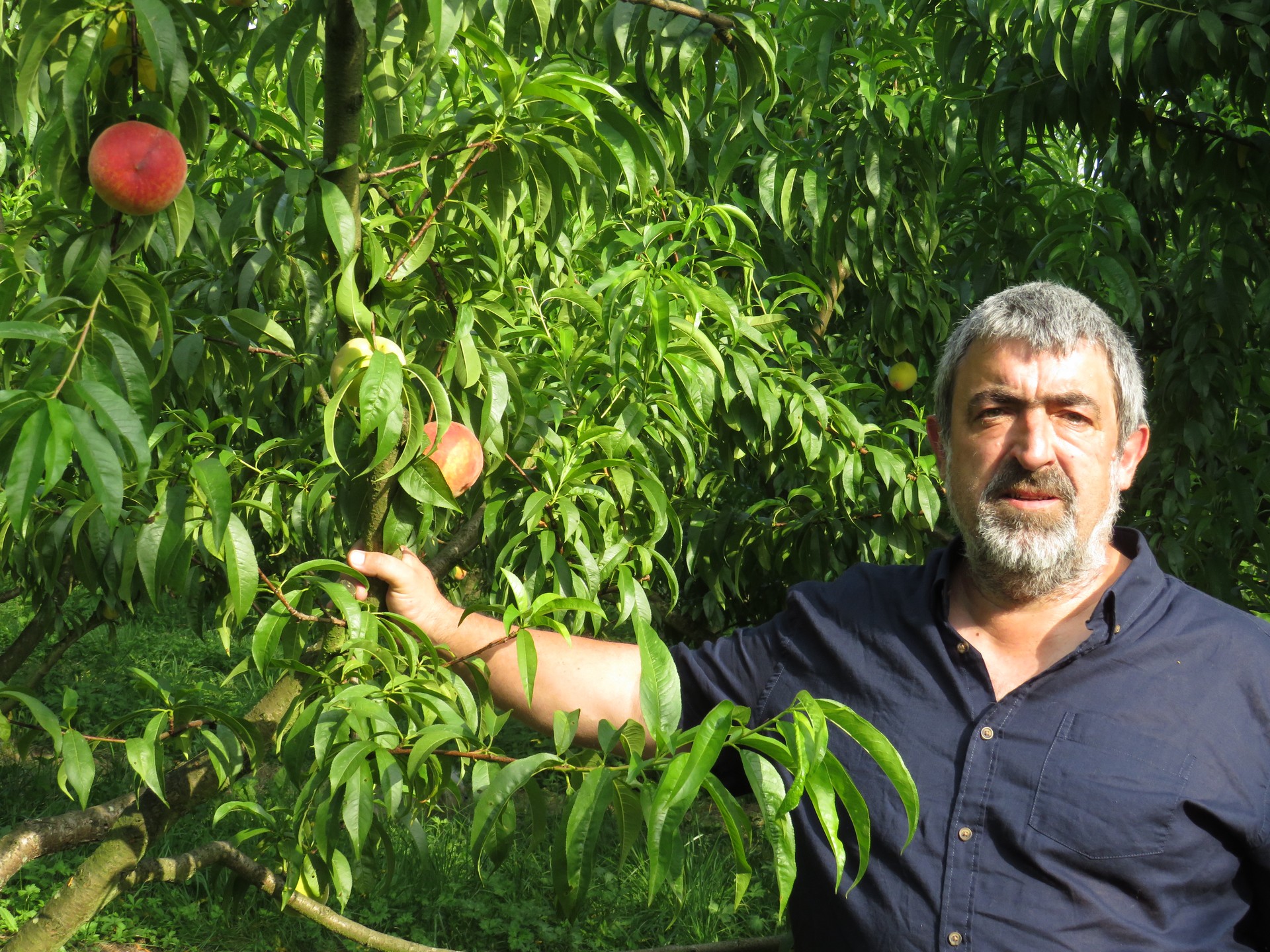 Robert Bordenave Montesquieu - photo 5