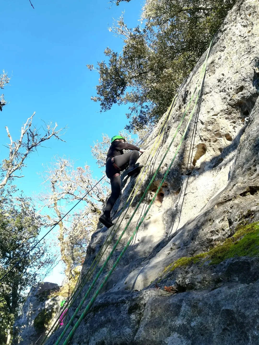 Falaise de la forêt départementale de Campagne - photo 4