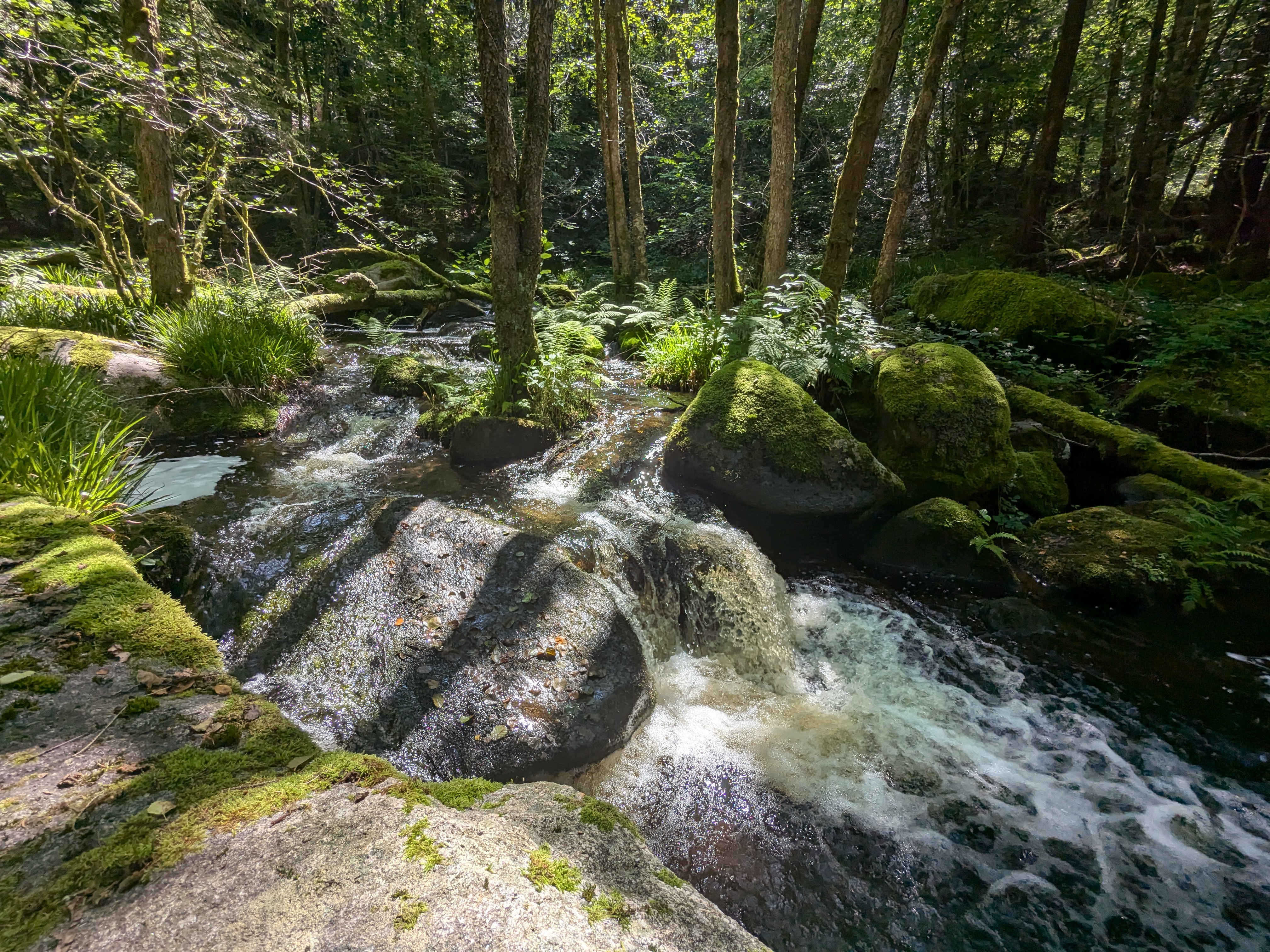 Le Rocher de Servière, Bugeat - photo 2