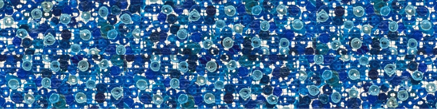 Exposition "Conscience Plastique"