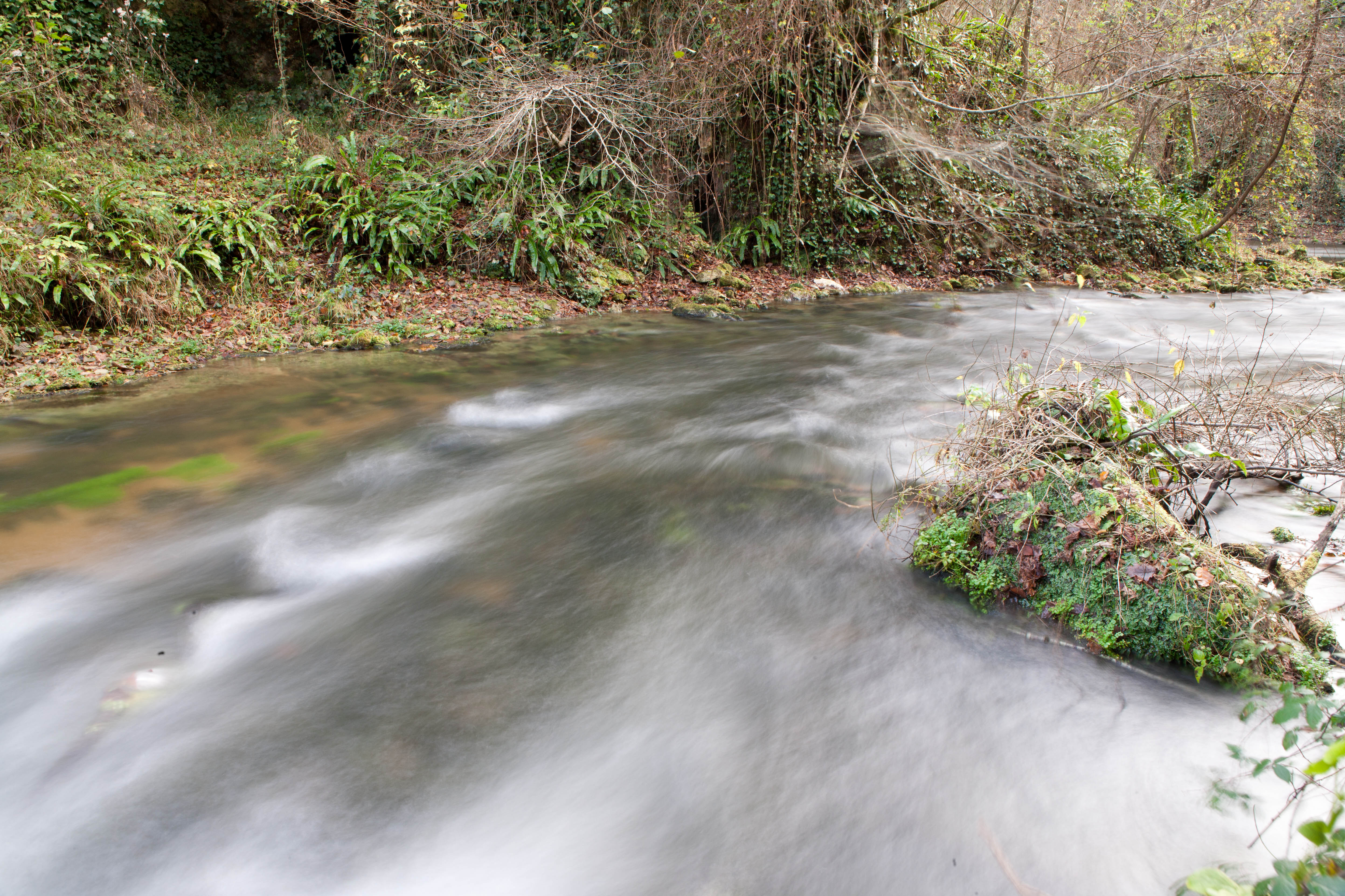 Rivière de pêche sur l'Estampon