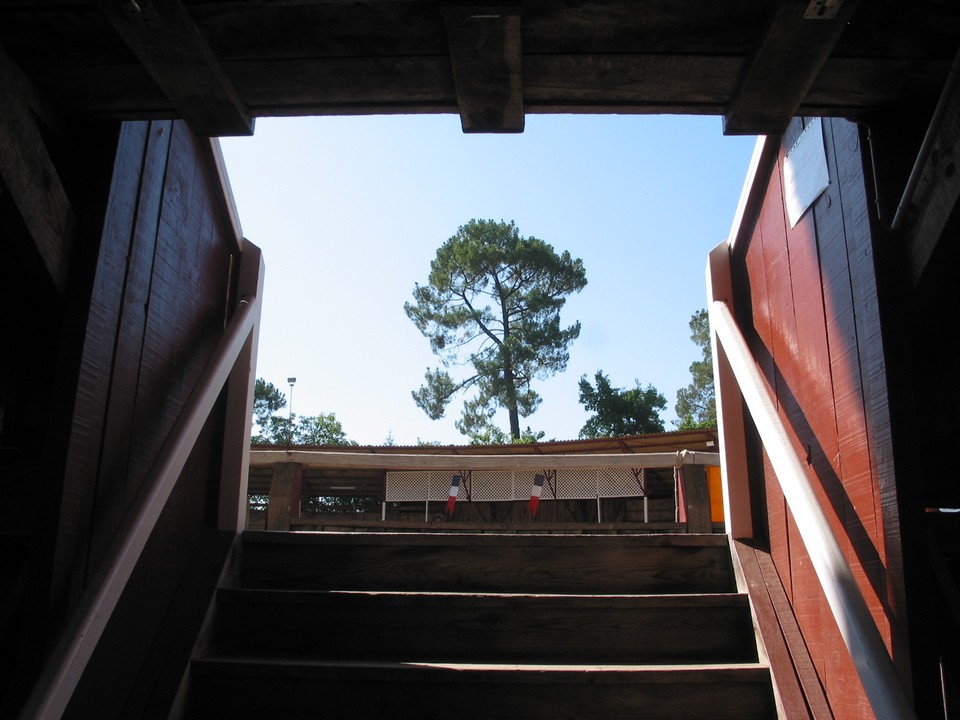 Arènes de Roquefort, Roquefort