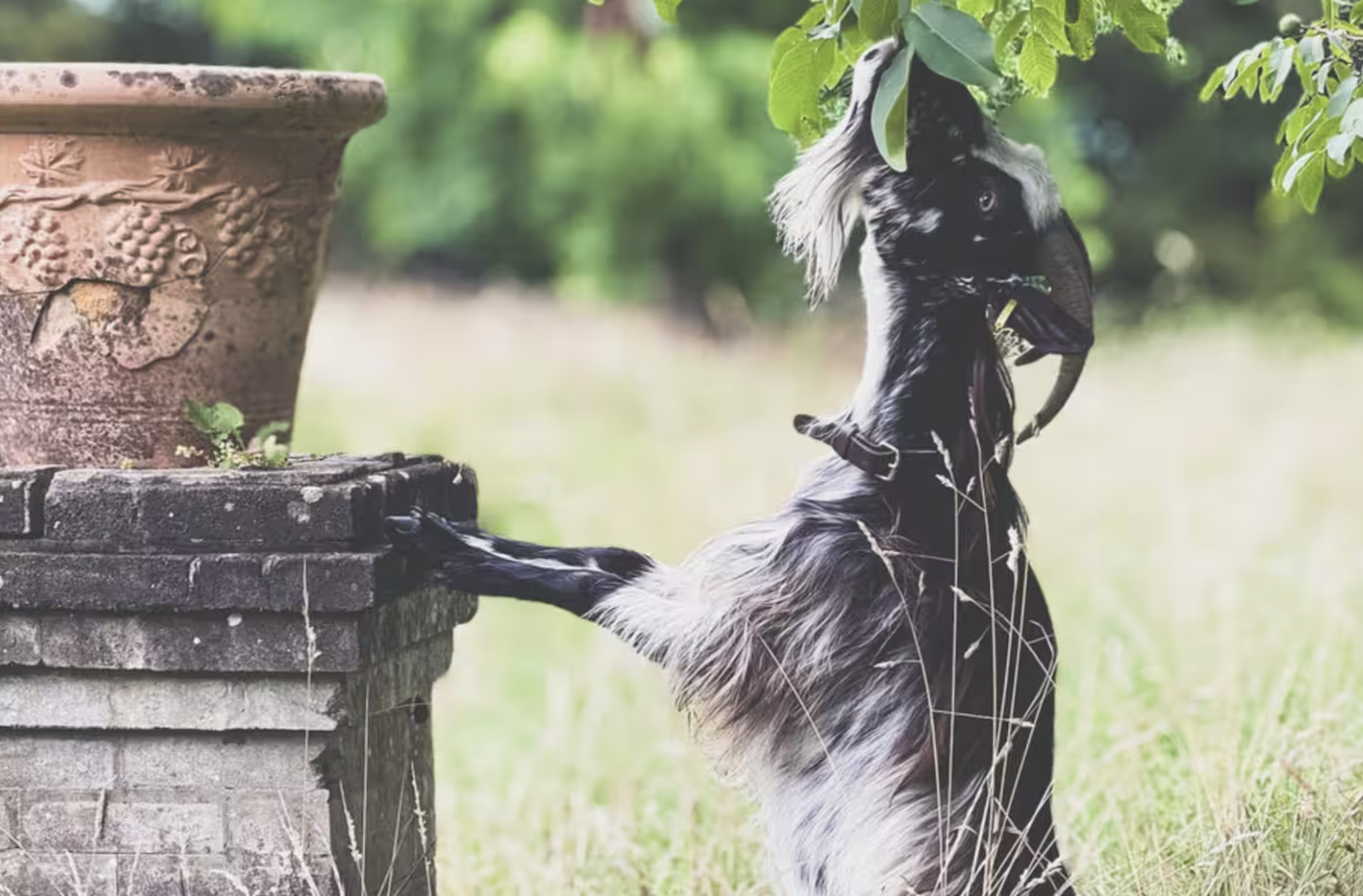 Maison Mirabelle, Gamarde-les-Bains - photo 13