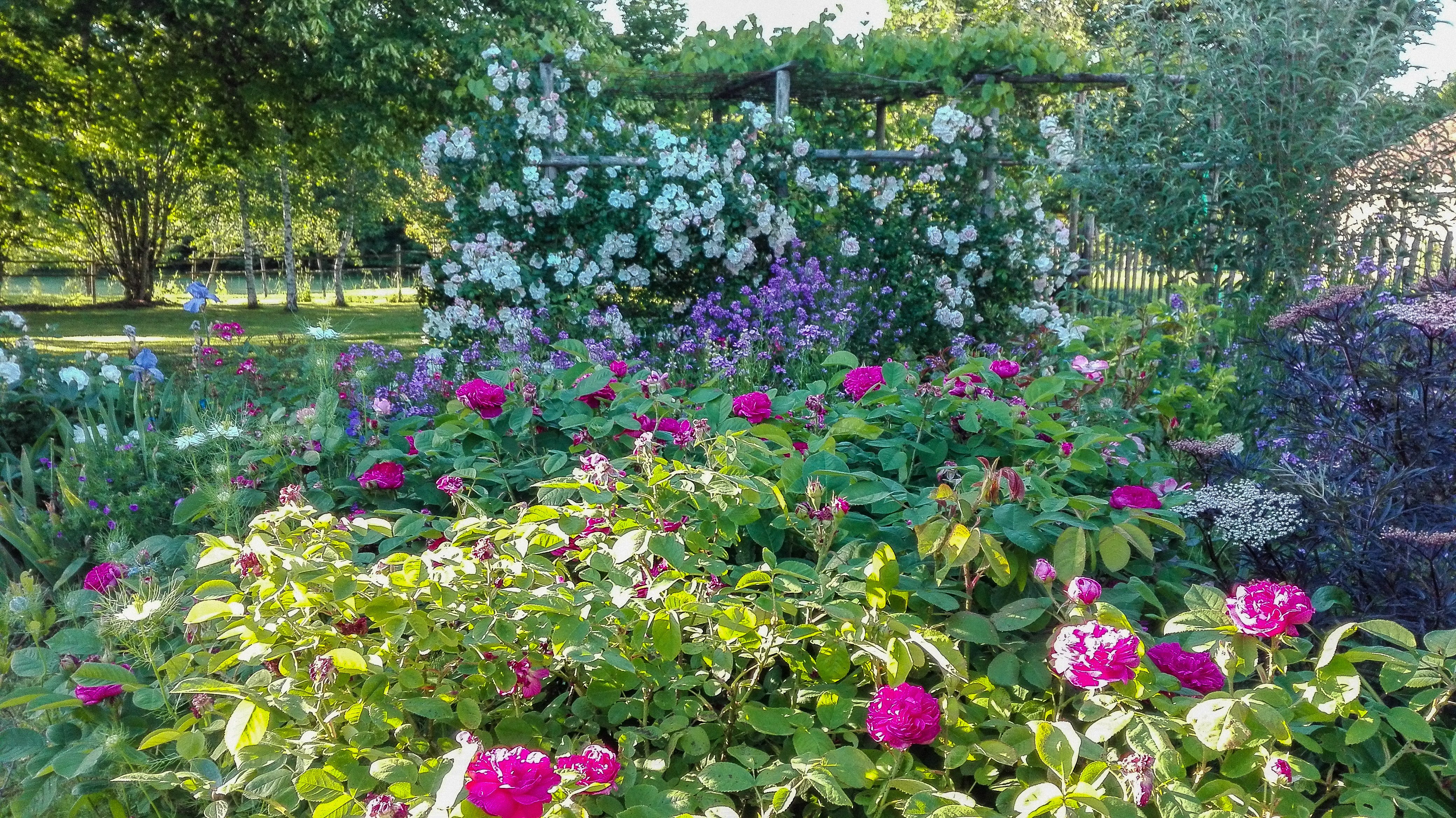 Côté Gartempe, La Bussière