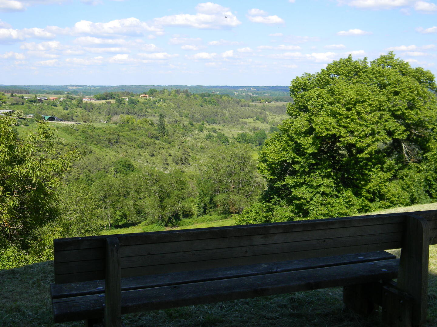 Boucle des Mammouths n° 31 / Rouffignac, Rouffignac-Saint-Cernin-de-Reilhac