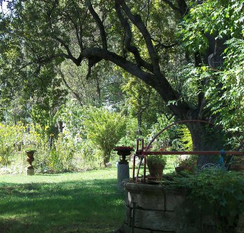La Roulotte d'Ophélie, Saint-Brice - photo 5