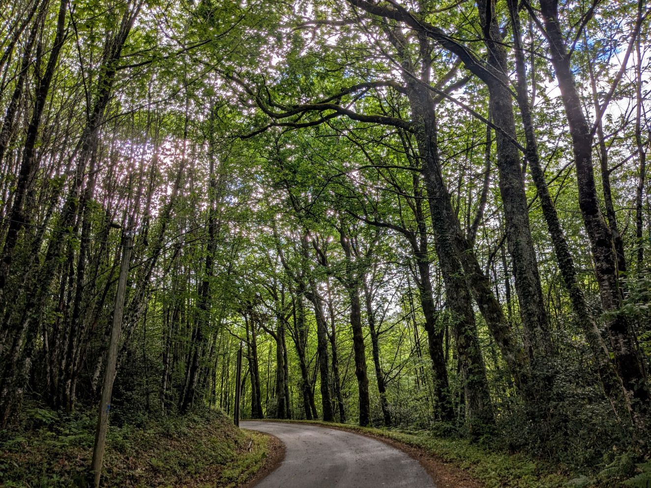 Saint-Dulcet à VTT — photo 2